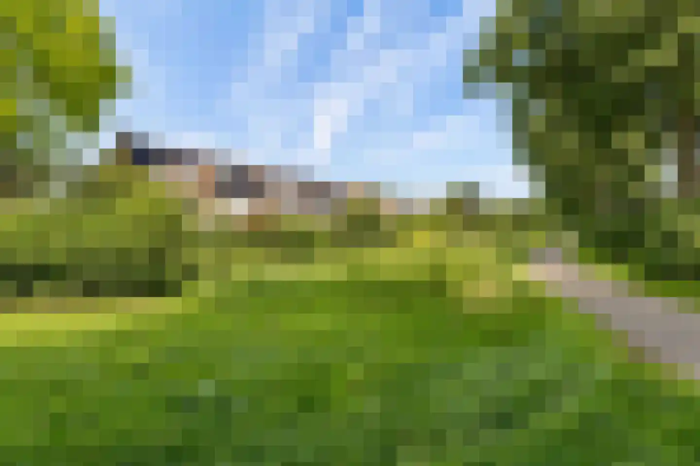 Goudsbloem 54 Odijk thumbnail 5