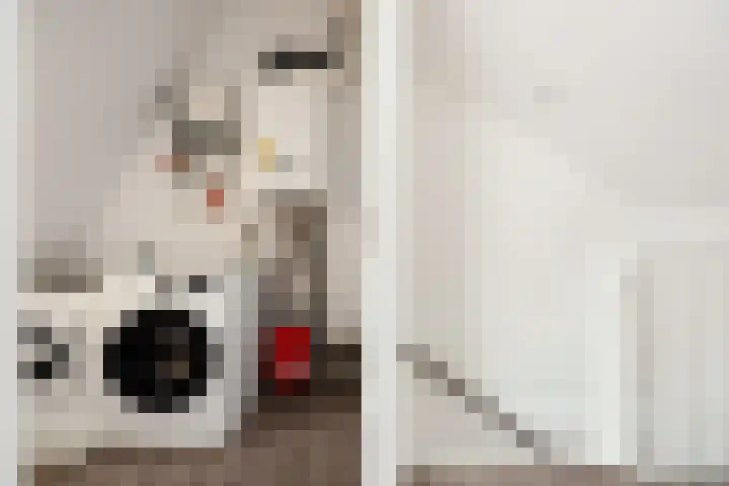 Goudsbloem 54 Odijk thumbnail 52