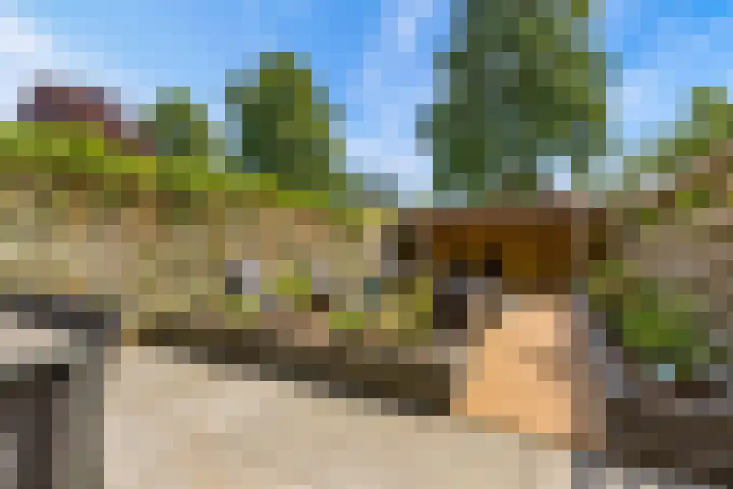 Goudsbloem 54 Odijk thumbnail 53