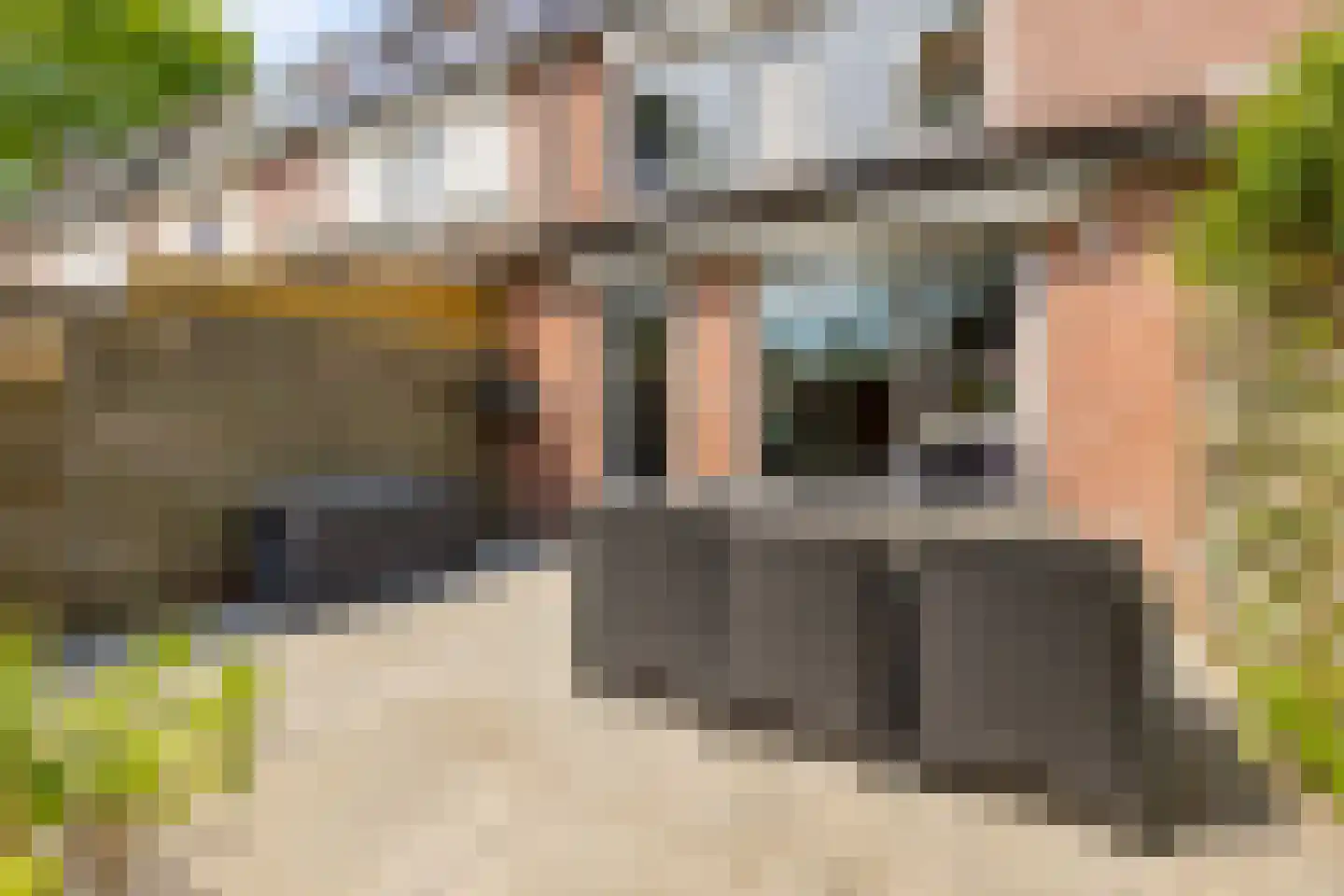 Goudsbloem 54 Odijk thumbnail 56