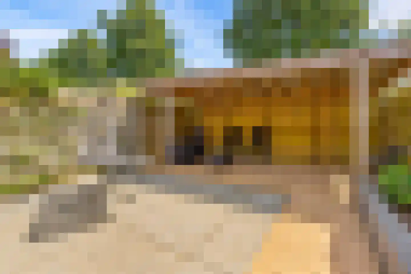 Goudsbloem 54 Odijk thumbnail 58
