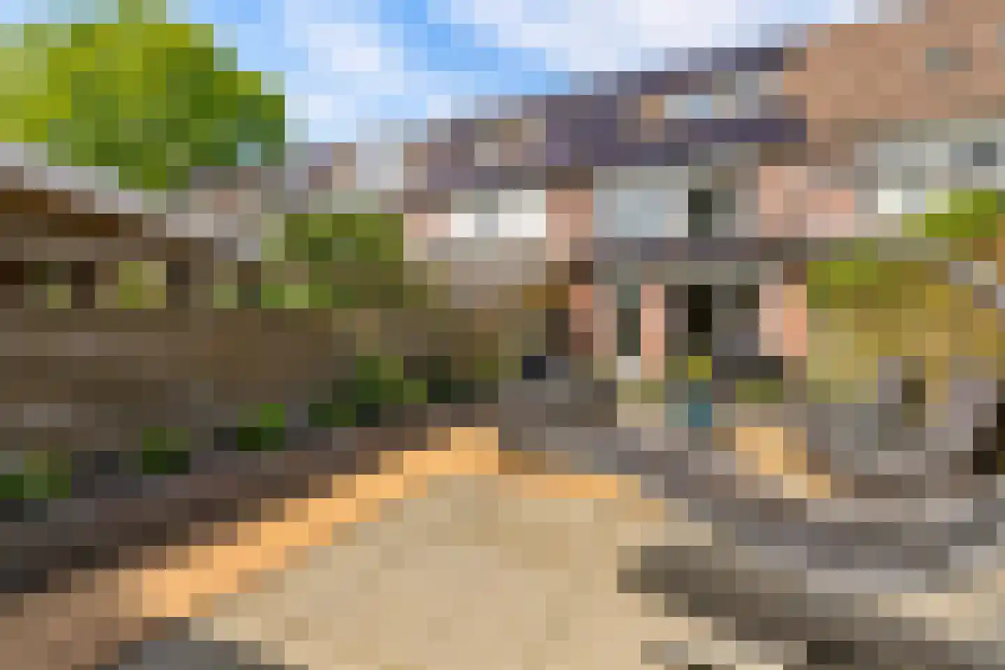 Goudsbloem 54 Odijk thumbnail 59