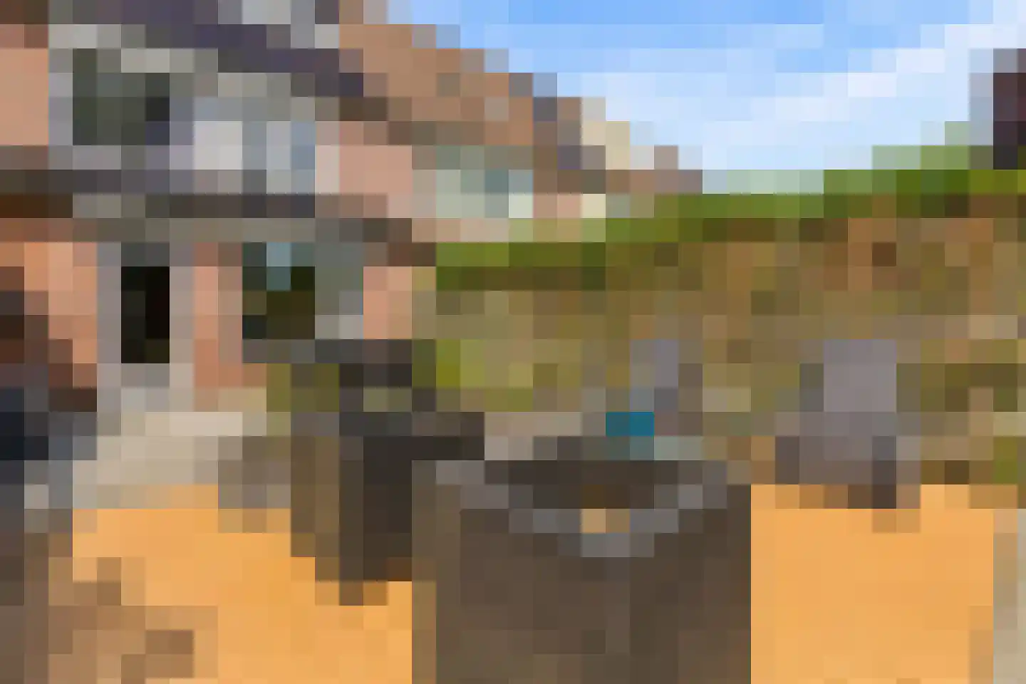 Goudsbloem 54 Odijk thumbnail 60