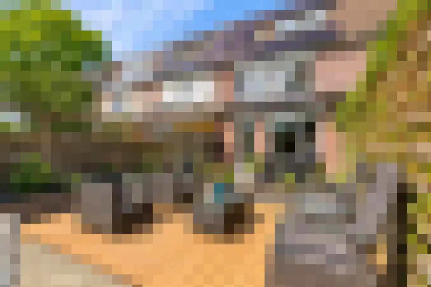 Goudsbloem 54 Odijk thumbnail 61