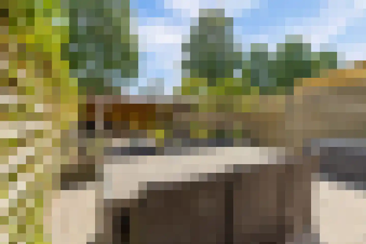 Goudsbloem 54 Odijk thumbnail 63