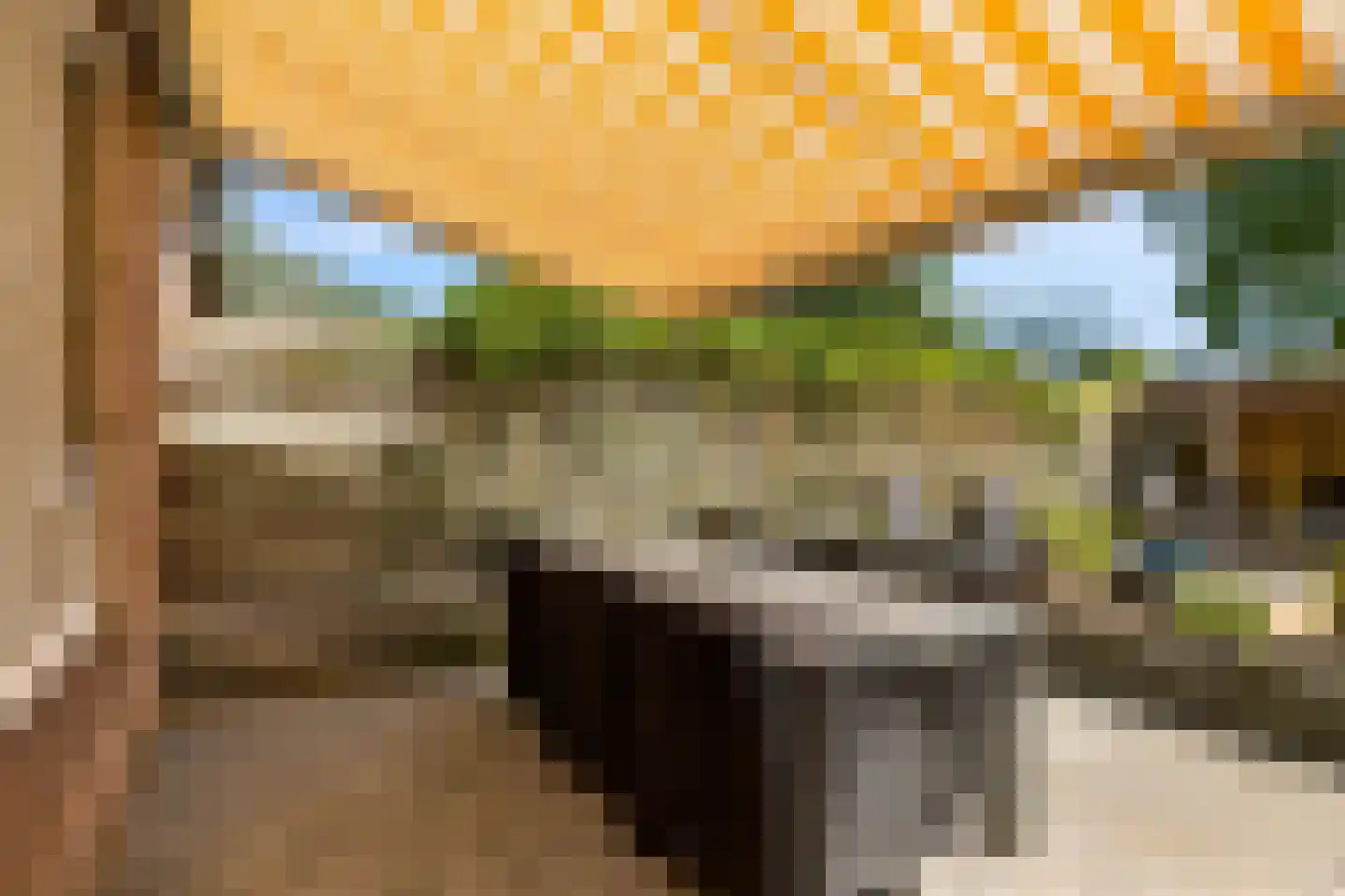 Goudsbloem 54 Odijk thumbnail 65