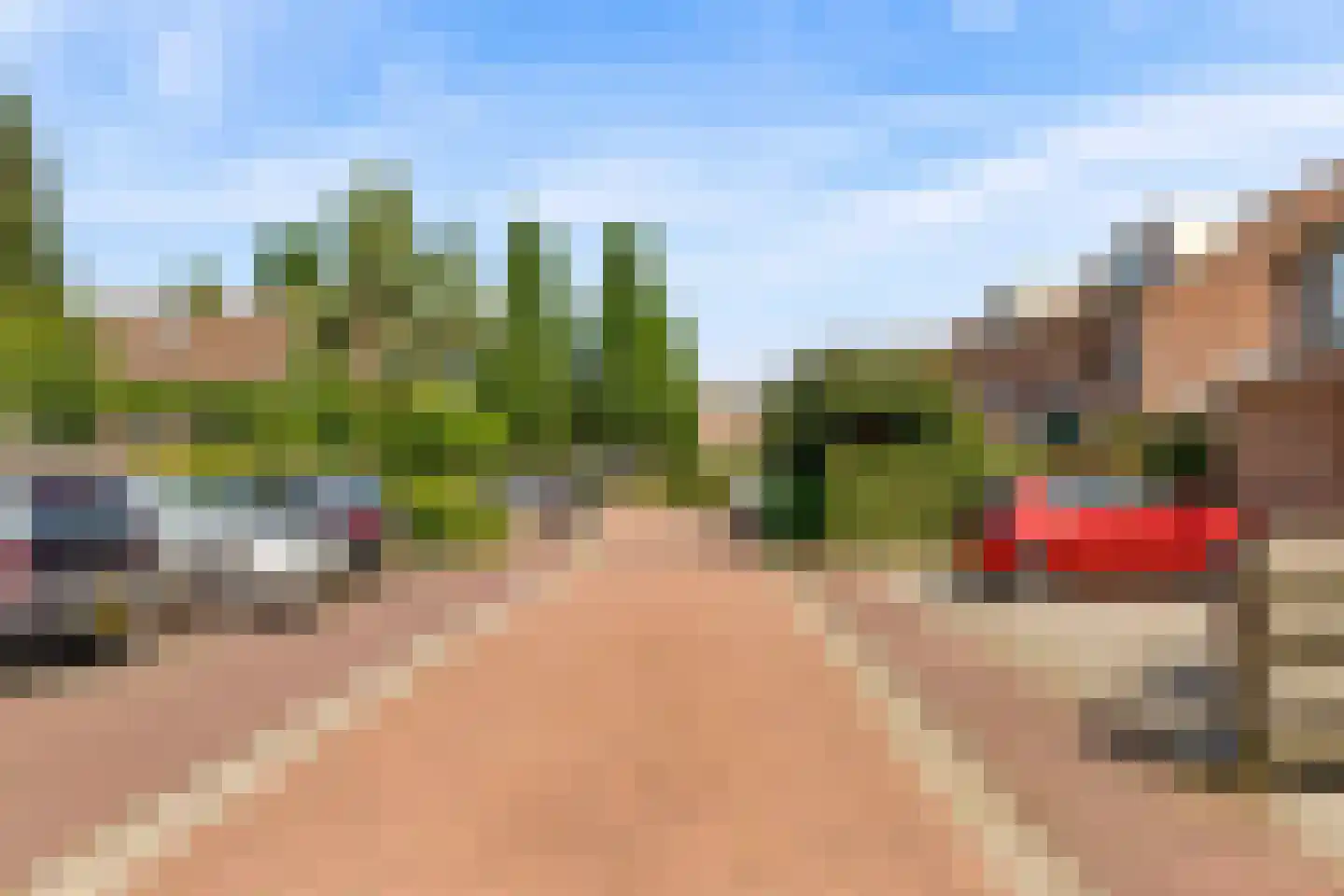 Goudsbloem 54 Odijk thumbnail 67
