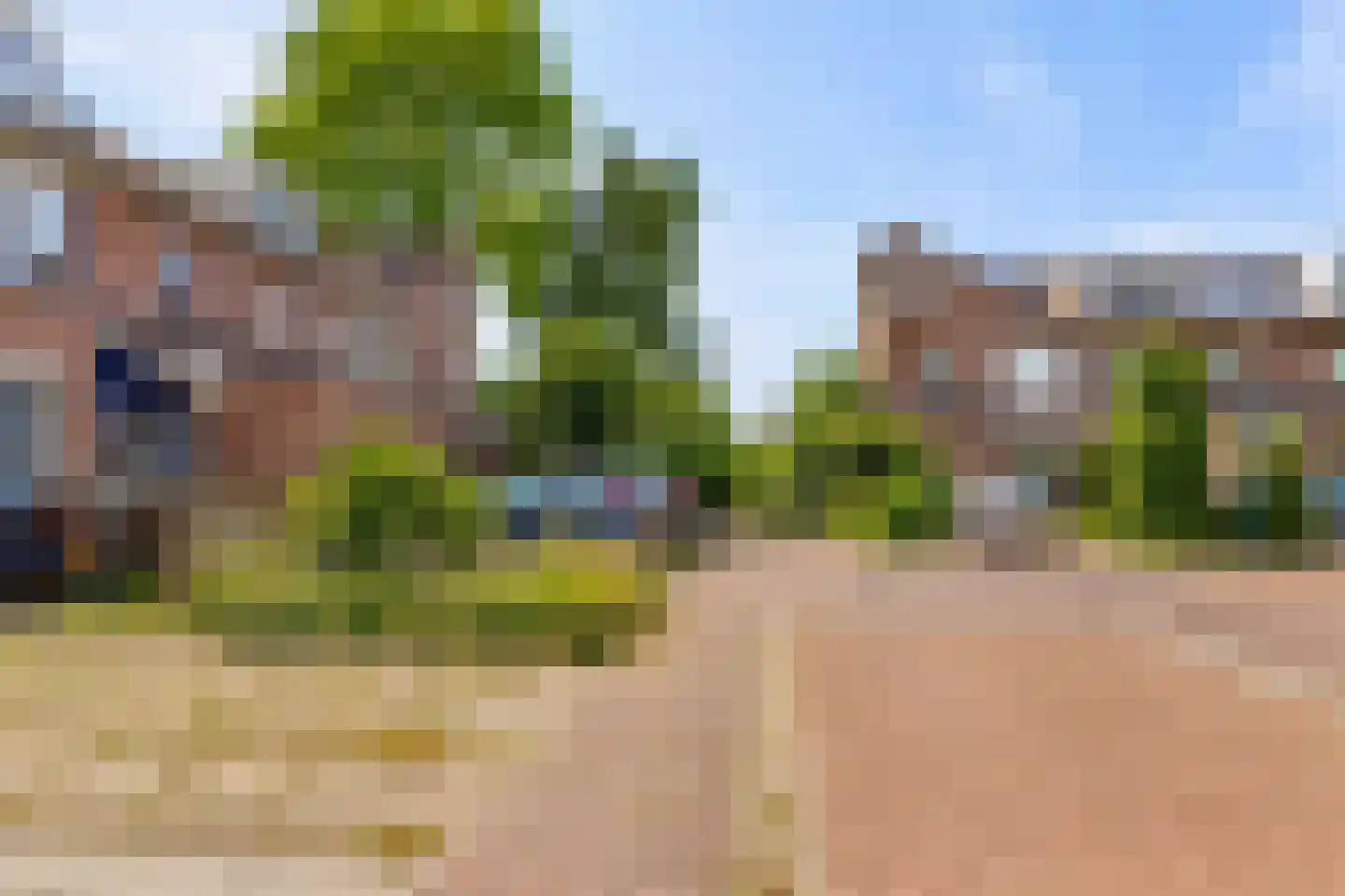Goudsbloem 54 Odijk thumbnail 68