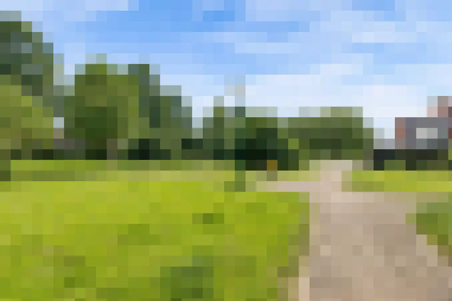 Goudsbloem 54 Odijk thumbnail 69