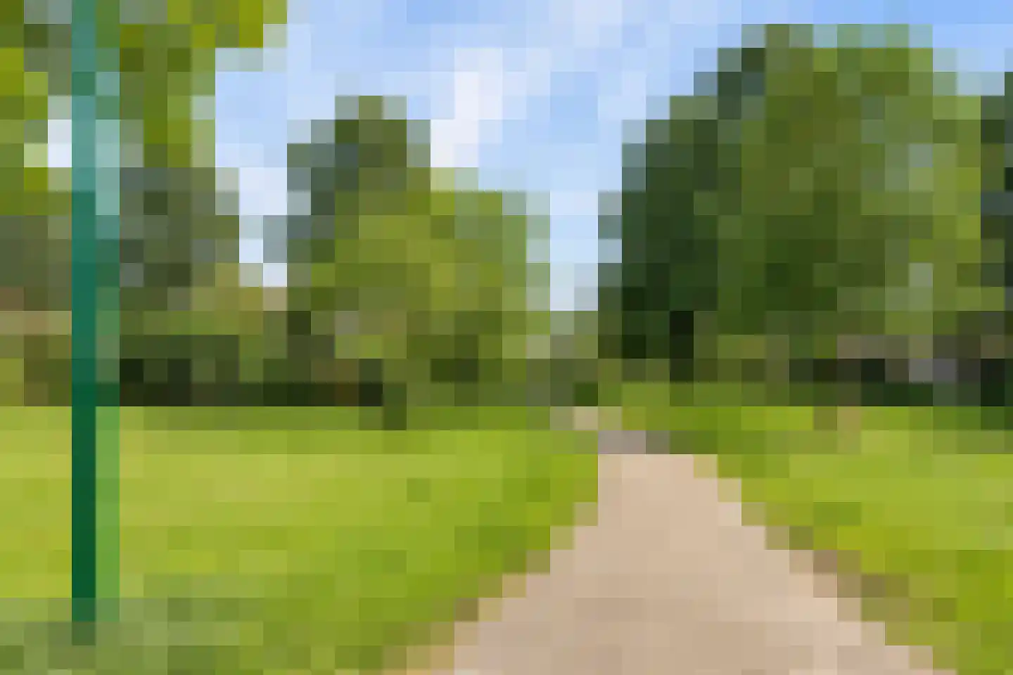 Goudsbloem 54 Odijk thumbnail 70