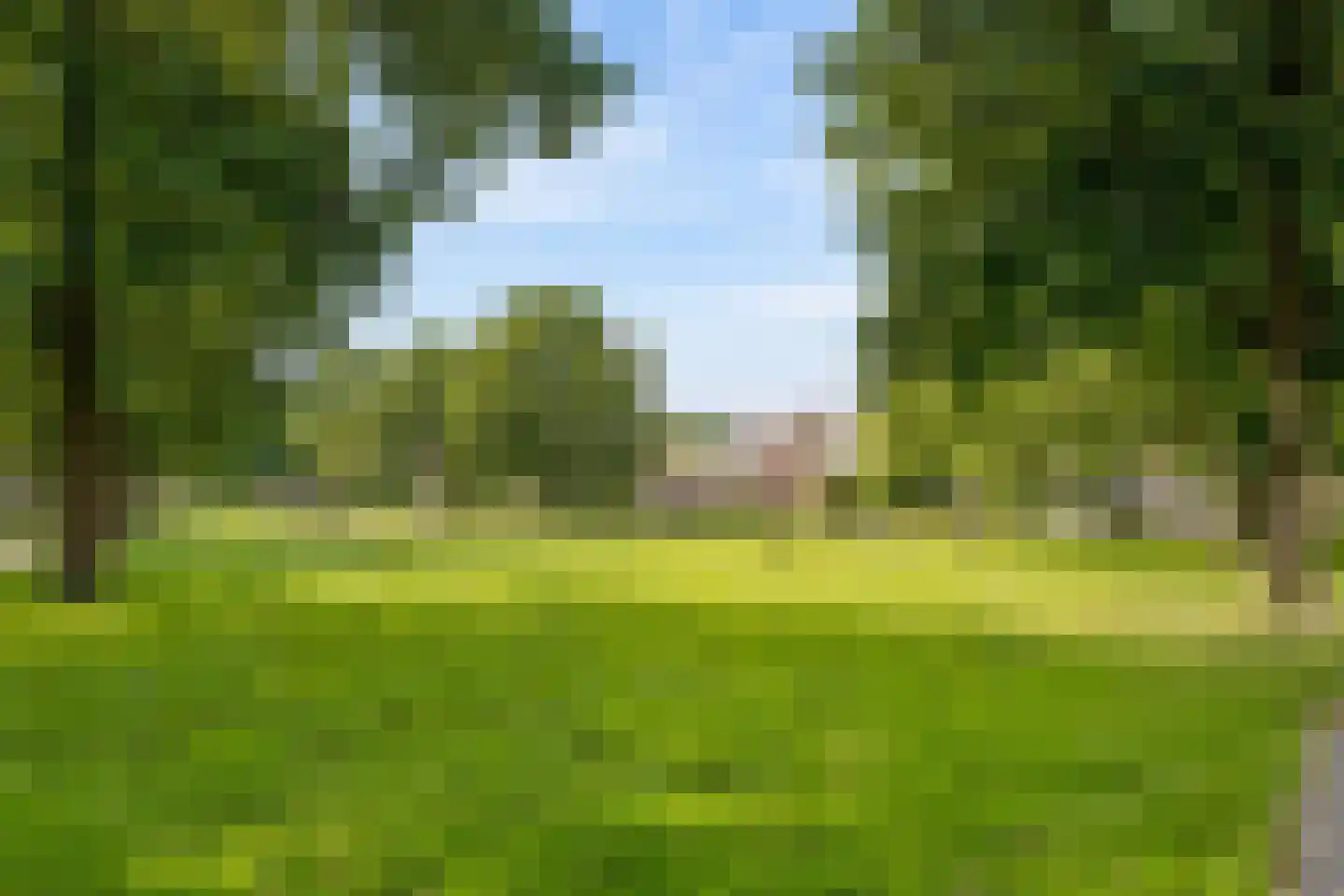 Goudsbloem 54 Odijk thumbnail 71