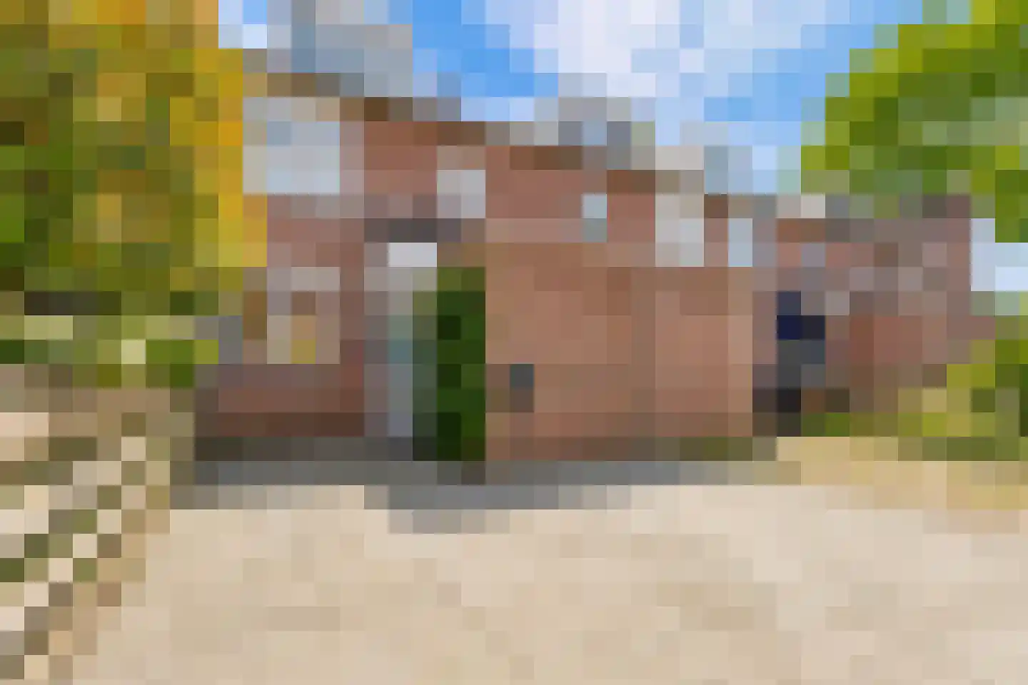 Goudsbloem 54 Odijk thumbnail 8