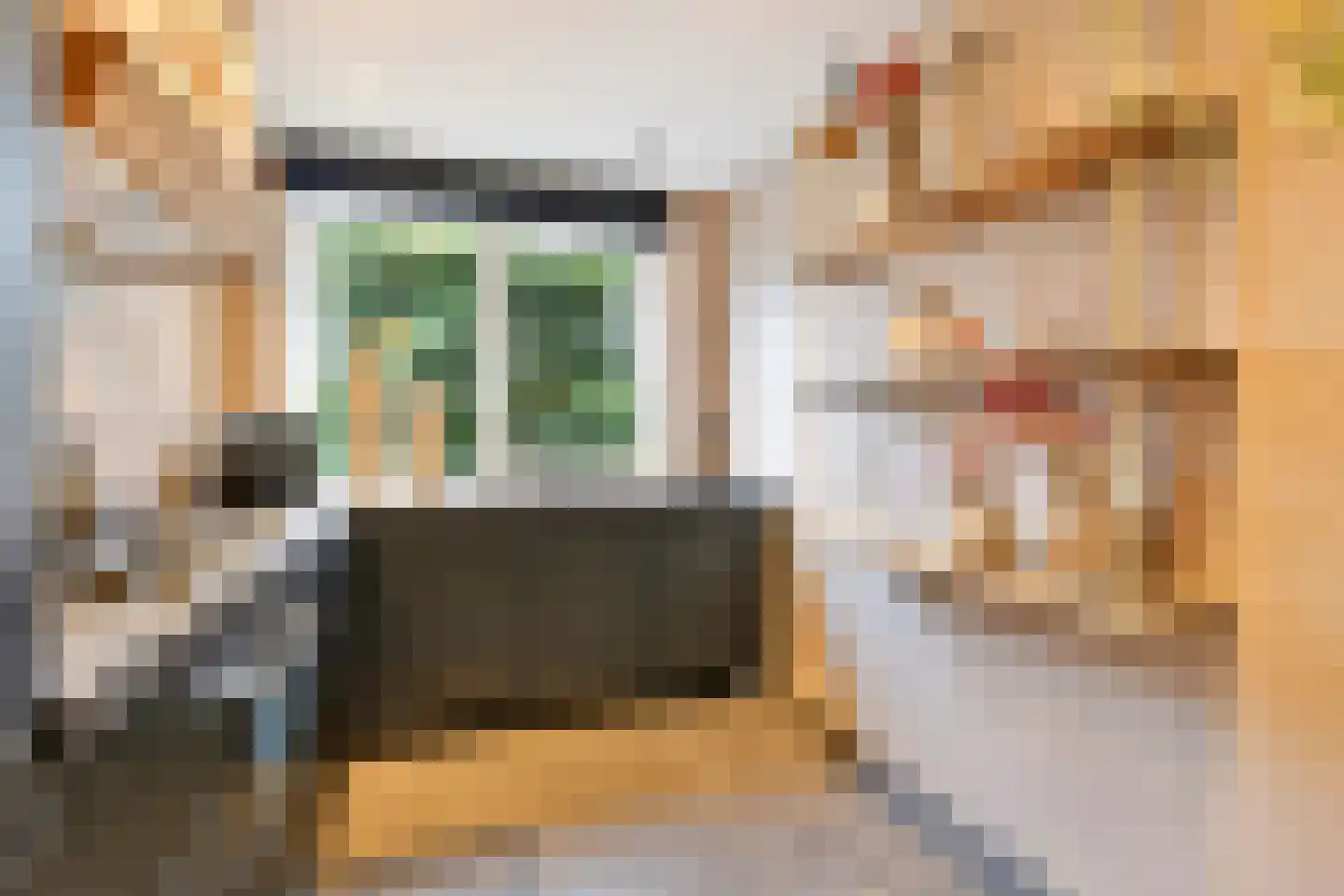 Goudsbloem 6 Bodegraven thumbnail 4