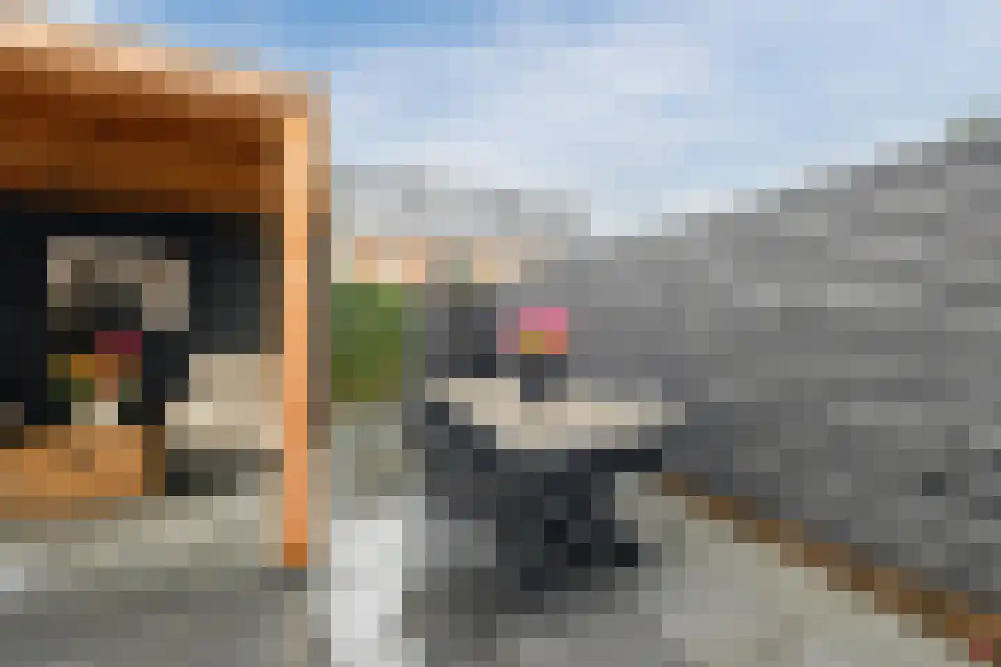 Goudsbloem 6 Bodegraven thumbnail 42