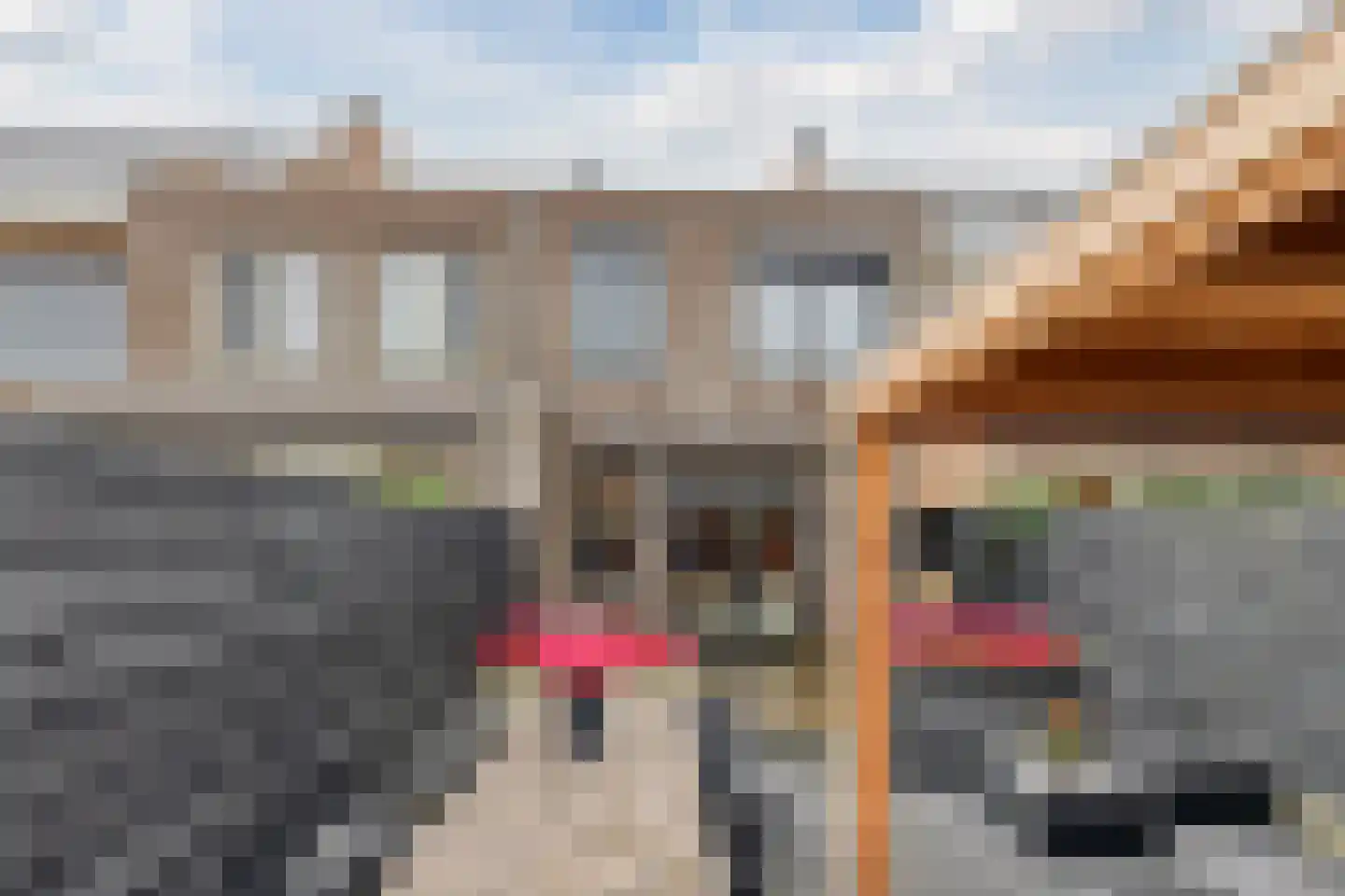 Goudsbloem 6 Bodegraven thumbnail 45