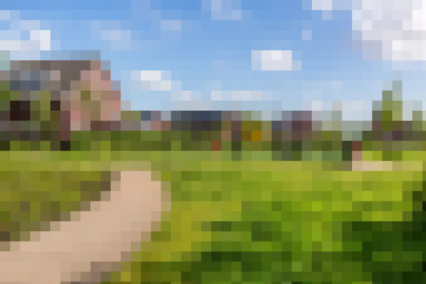 Goudsbloem 6 Bodegraven thumbnail 47