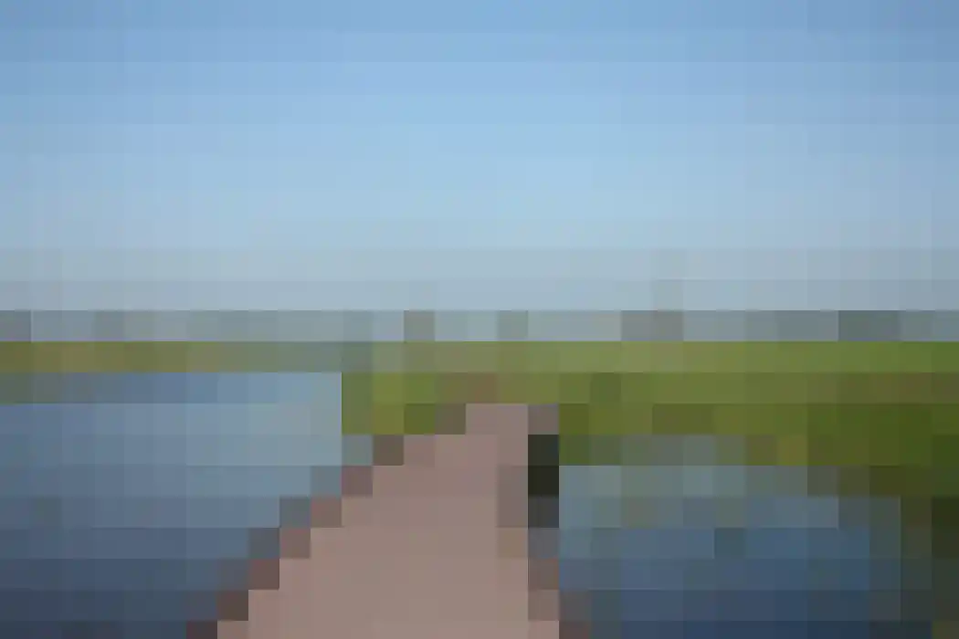 Goudsbloem 6 Bodegraven thumbnail 49