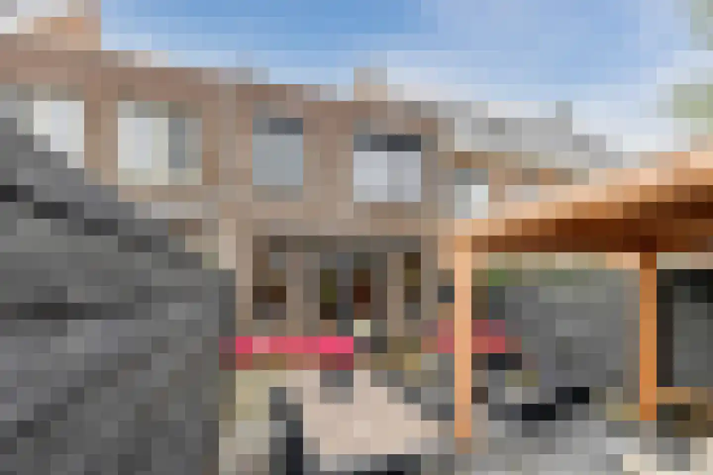 Goudsbloem 6 Bodegraven thumbnail 6