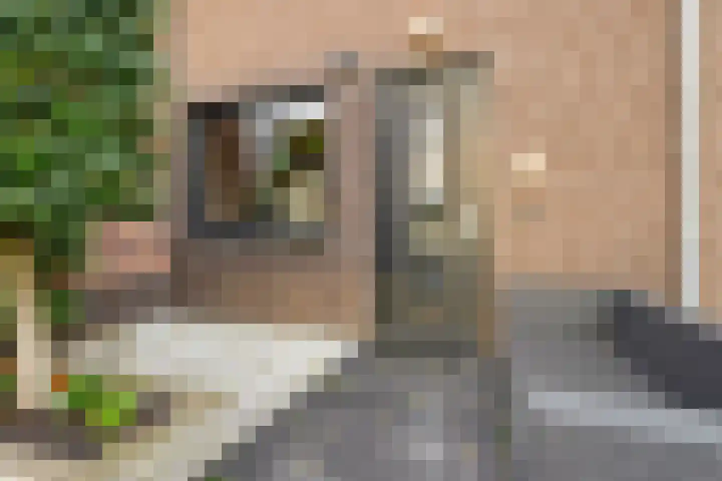 Goudsbloem 6 Bodegraven thumbnail 8