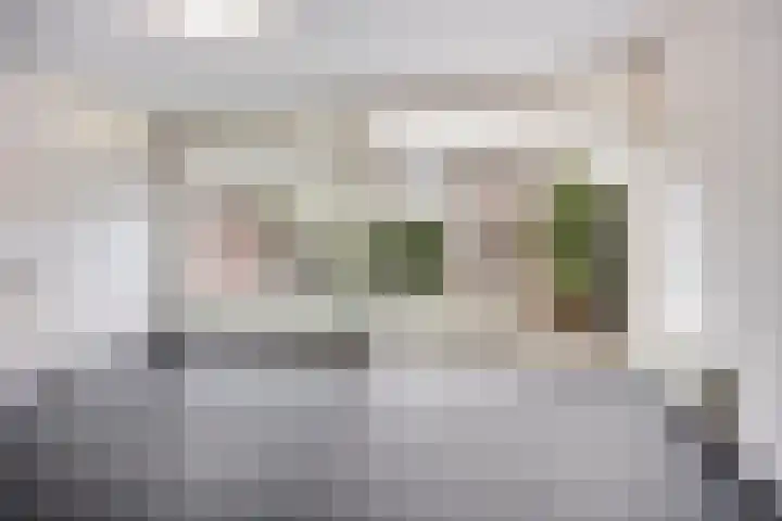 Goudsbloem 8 Boekel thumbnail 13