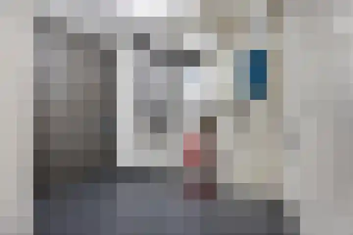 Goudsbloem 8 Boekel thumbnail 20
