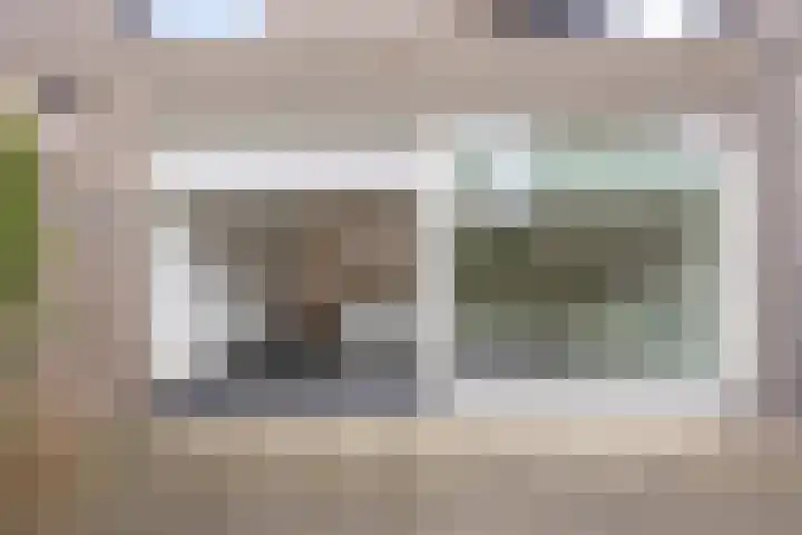 Goudsbloem 8 Boekel thumbnail 32