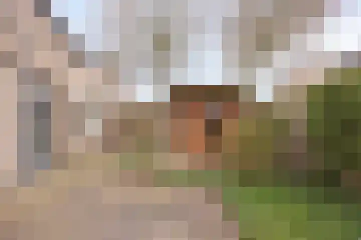 Goudsbloem 8 Boekel thumbnail 33