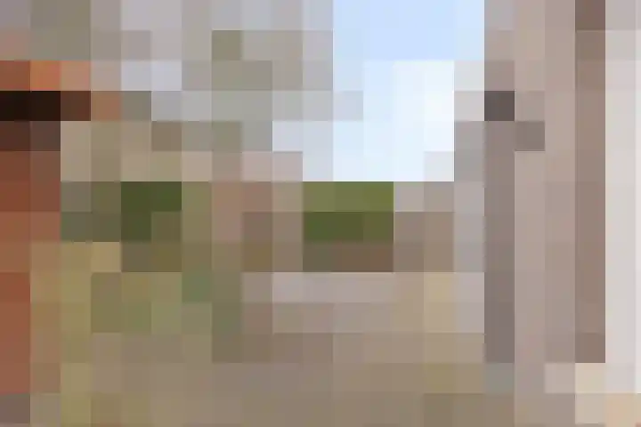 Goudsbloem 8 Boekel thumbnail 34