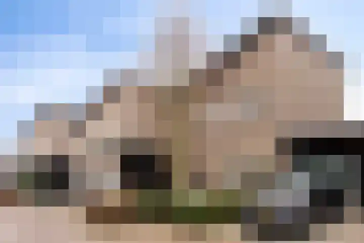 Goudsbloem 8 Boekel thumbnail 36