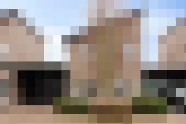 Goudsbloem 8 Boekel thumbnail 37