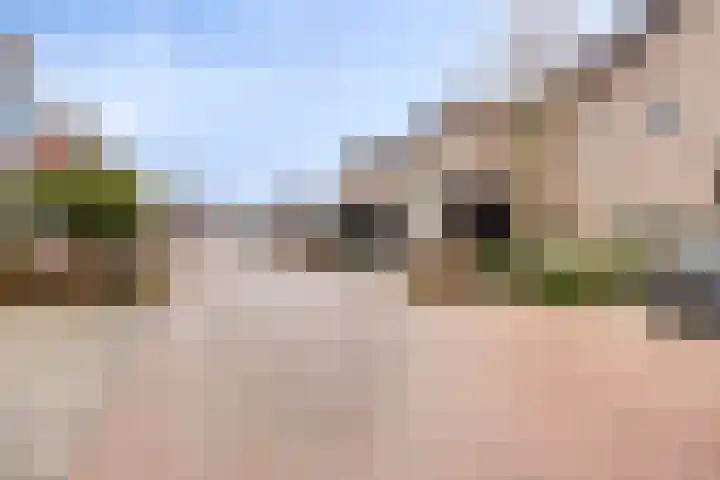 Goudsbloem 8 Boekel thumbnail 38