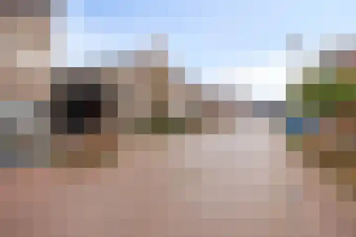 Goudsbloem 8 Boekel thumbnail 39