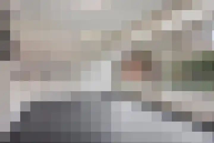 Goudsbloem 8 Boekel thumbnail 4