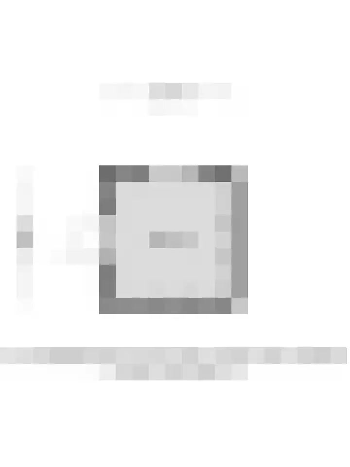 Goudsbloem 8 Boekel thumbnail 43