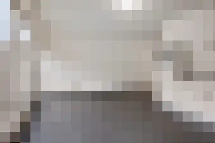 Goudsbloem 8 Boekel thumbnail 5