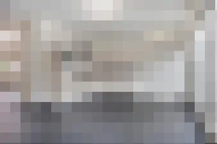 Goudsbloem 8 Boekel thumbnail 6