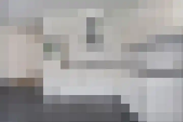 Goudsbloem 8 Boekel thumbnail 7
