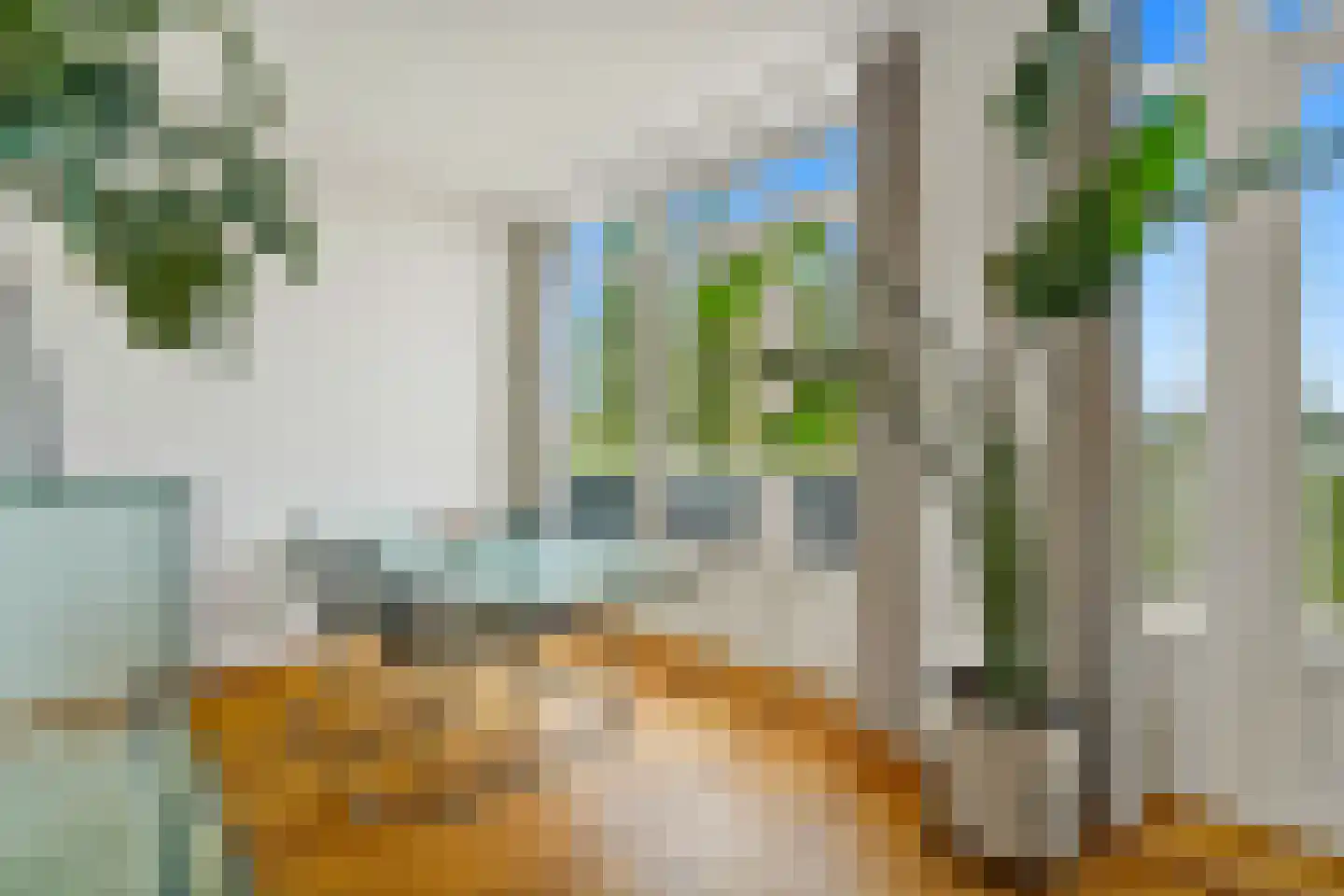 Goudsbloemlaan 109 Den Haag thumbnail 16