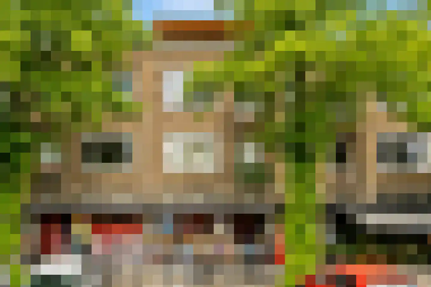 Goudsbloemlaan 109 Den Haag thumbnail 5