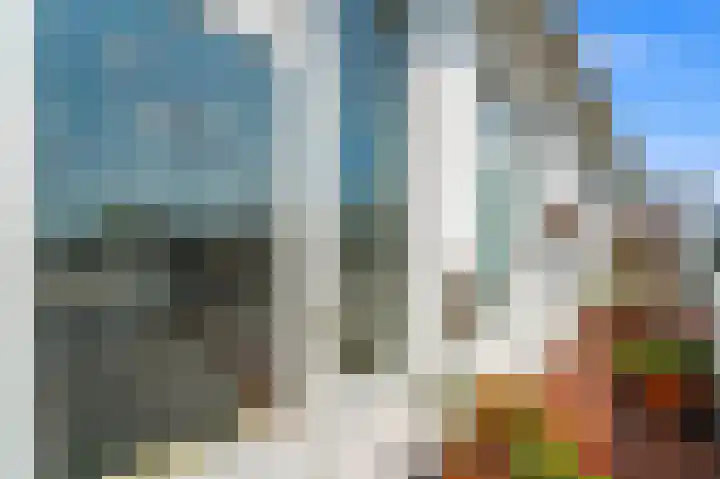 Goudsbloemlaan 118 Den Haag thumbnail 17