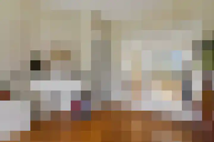 Goudsbloemlaan 118 Den Haag thumbnail 9