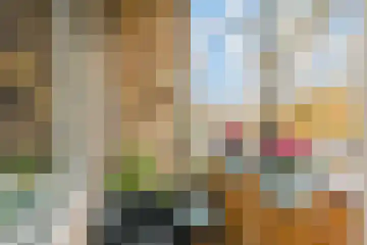 Goudsbloemlaan 121 Den Haag thumbnail 10