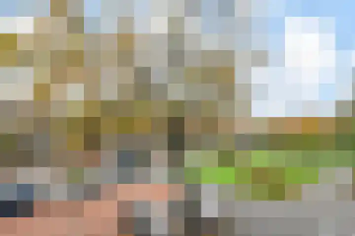Goudsbloemlaan 121 Den Haag thumbnail 11