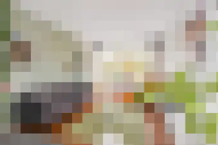 Goudsbloemlaan 121 Den Haag thumbnail 12