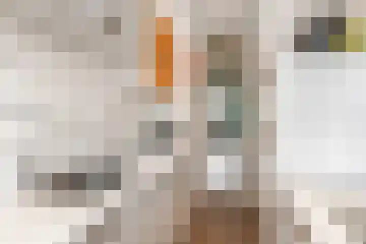 Goudsbloemlaan 121 Den Haag thumbnail 16