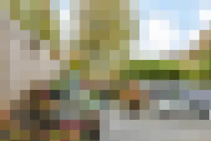 Goudsbloemlaan 121 Den Haag thumbnail 19