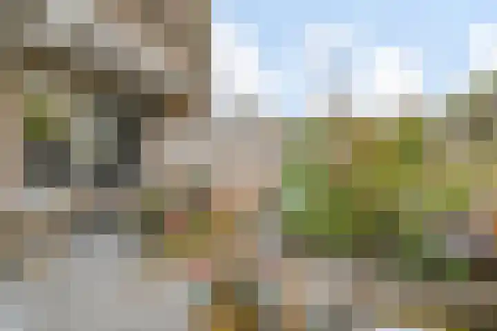 Goudsbloemlaan 121 Den Haag thumbnail 20