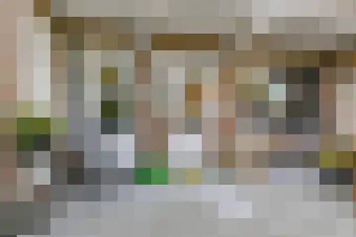 Goudsbloemlaan 121 Den Haag thumbnail 21