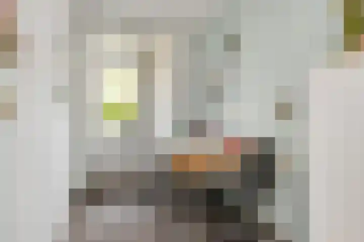 Goudsbloemlaan 121 Den Haag thumbnail 26