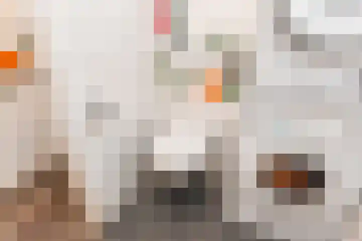 Goudsbloemlaan 121 Den Haag thumbnail 28